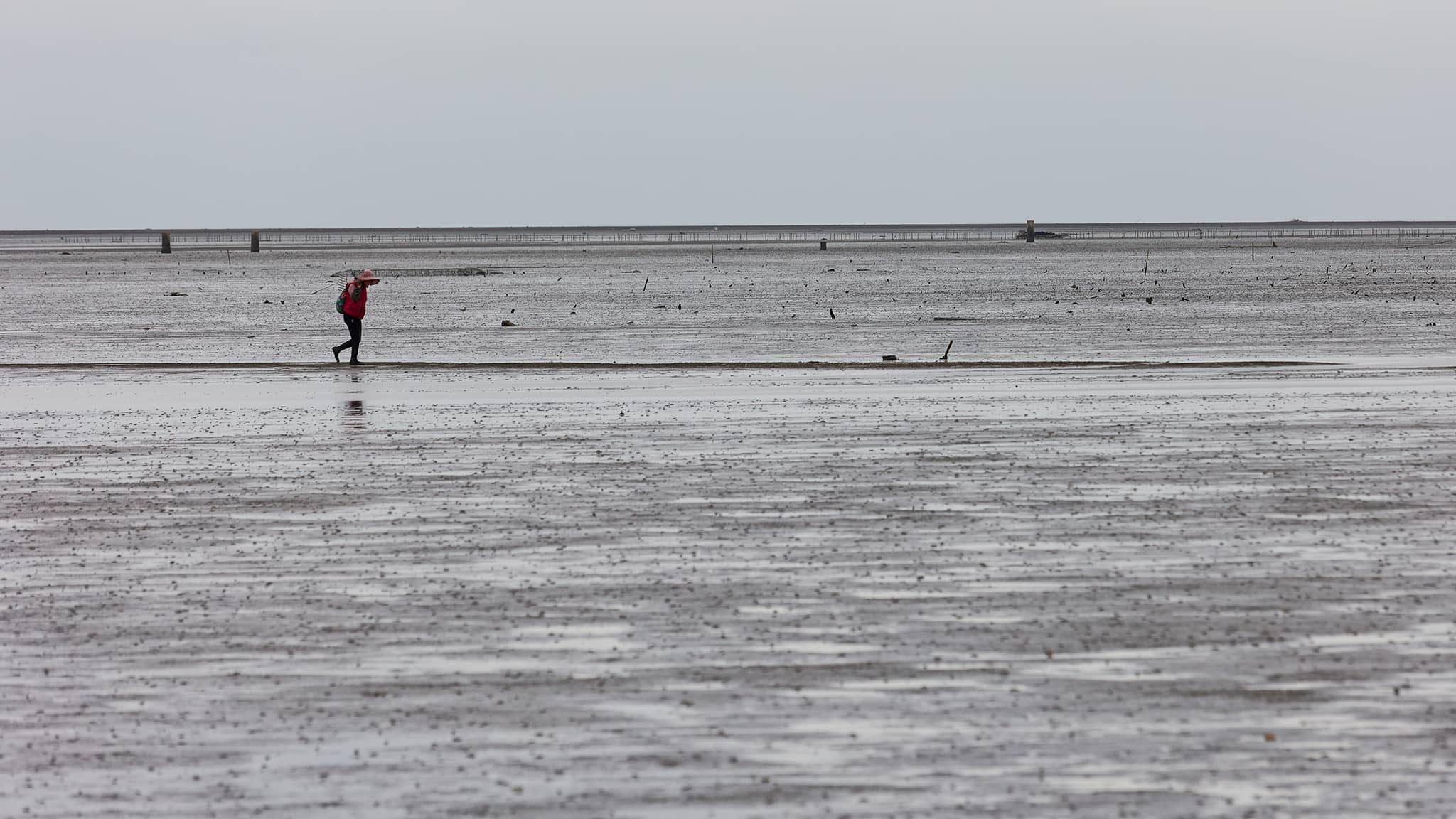 02 - Taichung Est (6) Xiangshan District.jpg